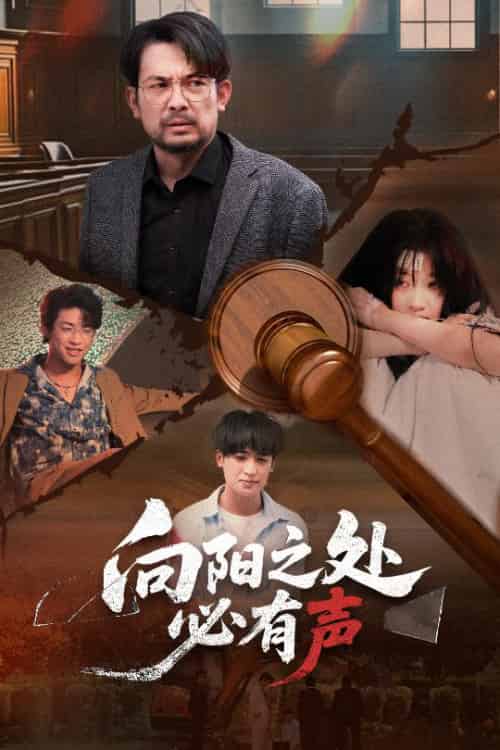 向阳之处必有声（50集全）邱月＆贺庆智-紫橙资源网