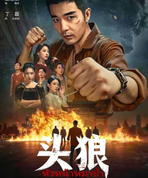 头狼(77集全)丁磊&董星辰-紫橙资源网