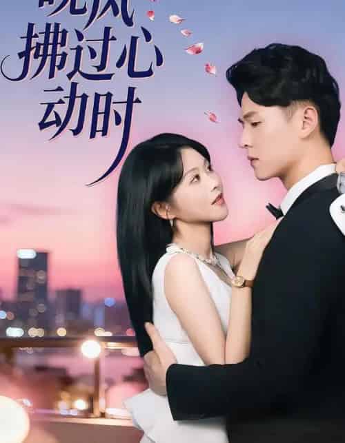 晚风拂过心动时（78集全）朱韵知＆李俊麟-紫橙资源网