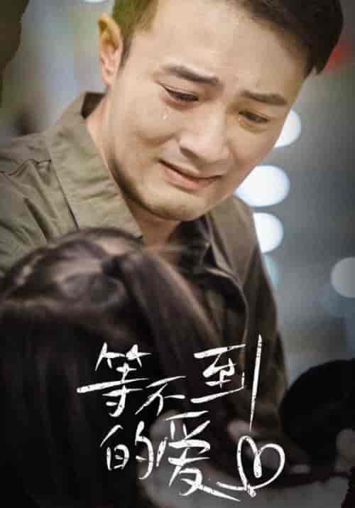 等不到的爱（40集）-紫橙资源网