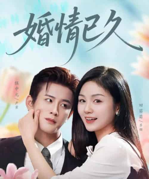 婚情已久（80集全）伍中元＆田苗苗-紫橙资源网