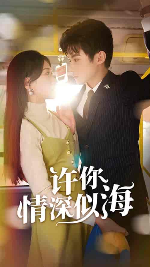 许你情深似海(90集)-紫橙资源网