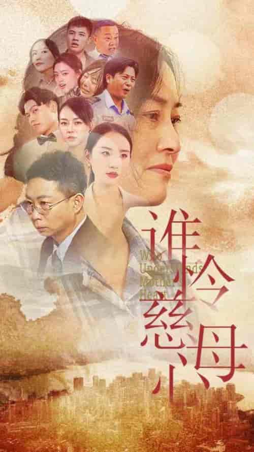 谁怜慈母心（46集全）-紫橙资源网