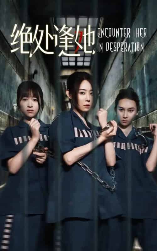 绝处逢她（47集）辰鑫＆千婵-紫橙资源网