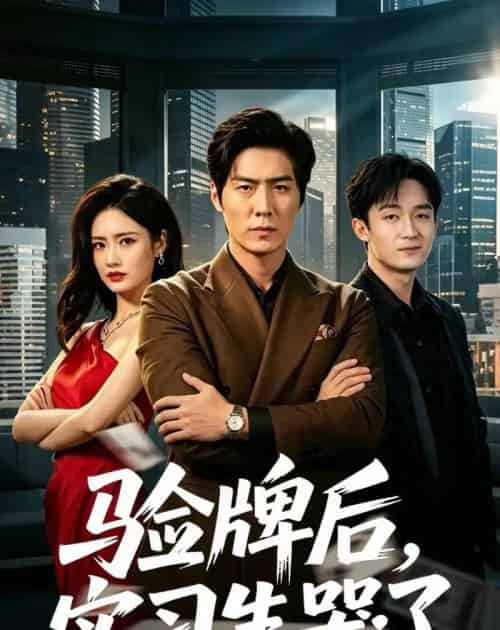 验牌后,实习生哭了(51集全)张凡&邹雅涵-紫橙资源网