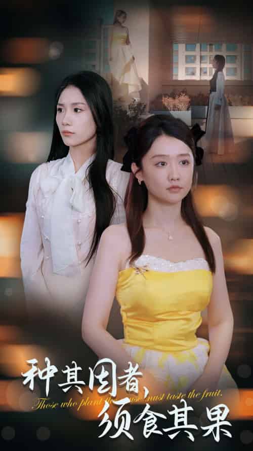 种其因者须食其果（45集全）欧阳千然＆毛娜-紫橙资源网