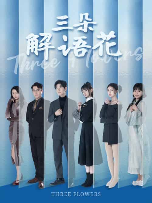 三朵解语花（92集全）邵迪＆梦娜＆卢巧-紫橙资源网