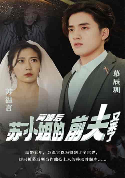 离婚后,苏小姐的前夫又来了(98集全)幕辰玔&苏温言-紫橙资源网