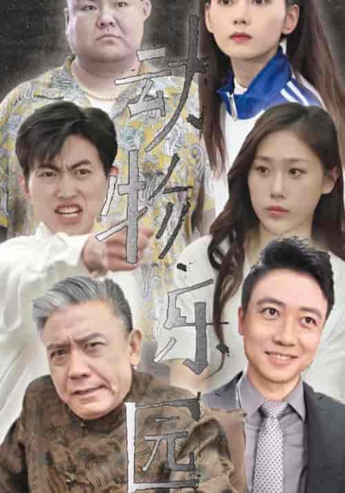 动物乐园（57集全）黎肖＆哲哲-紫橙资源网