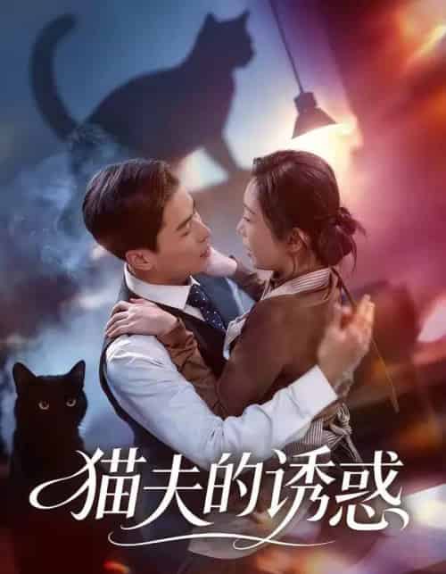 猫夫的诱惑(52集全)朱鹏&陈安琪-紫橙资源网
