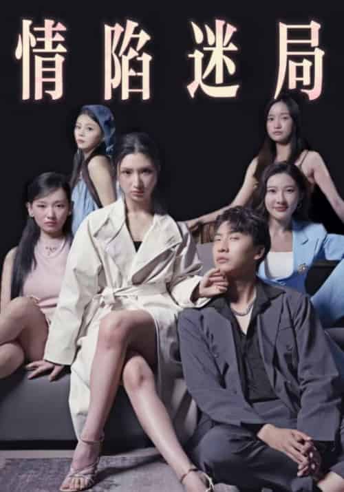 情陷迷局（38集全）付辛＆魏莱-紫橙资源网