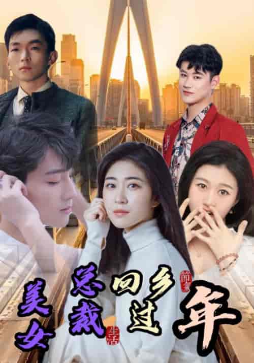 美女总裁回乡过年（97集全）苏雨泽＆林雪晴-紫橙资源网