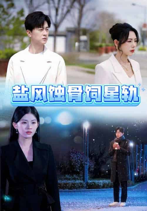 盐风蚀骨饲星轨（60集全）王鹏-紫橙资源网
