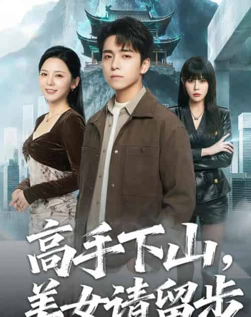高手下山,美女请留步(80集全)金大钟&李图图-紫橙资源网