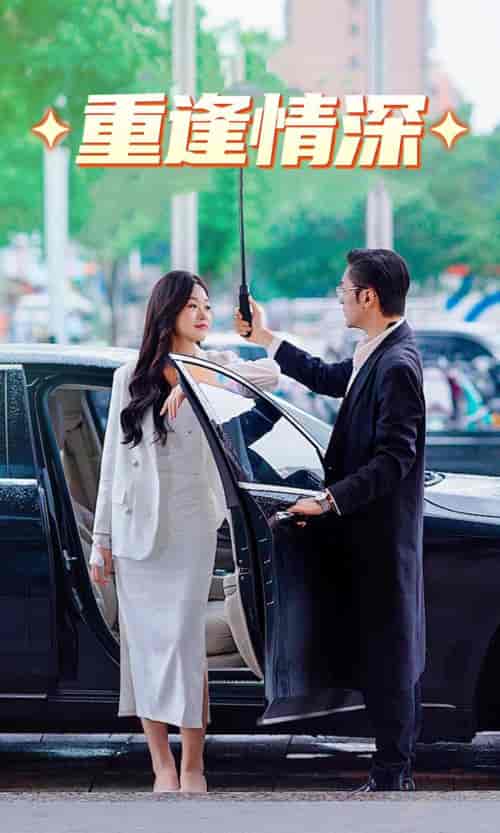 重逢情深(91集)-紫橙资源网