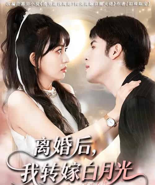离婚后我转嫁白月光（85集）-紫橙资源网