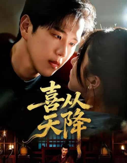 喜从天降（50集全）罗嘉麒＆辛润茜-紫橙资源网