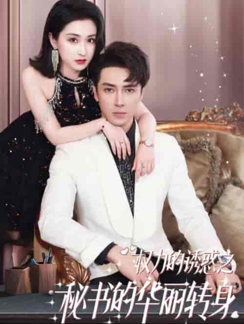权利的诱惑之秘书的华丽转身(100集全)王梓亦&崔十一-紫橙资源网