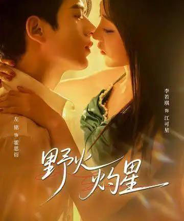 野火灼星（56集全）左铭＆李若琪-紫橙资源网
