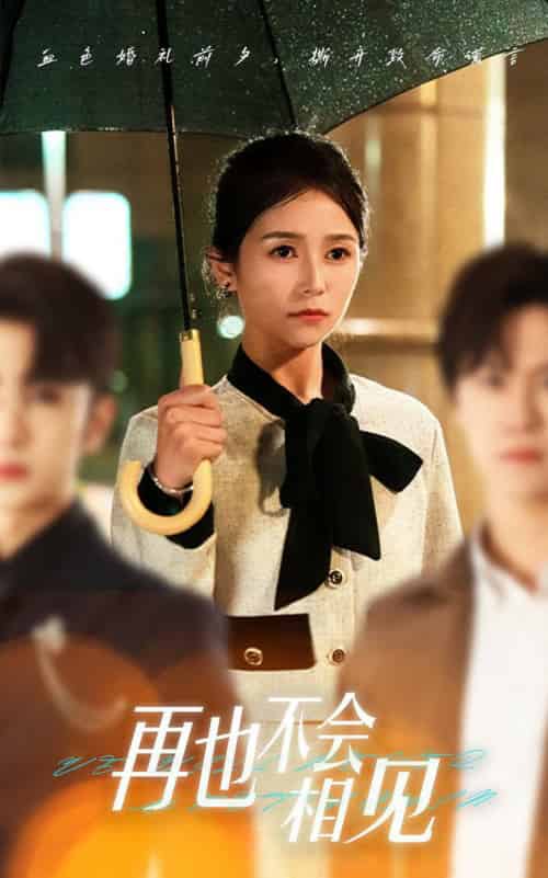 再也不会相见（33集全）严雯丽＆谢柏燊-紫橙资源网