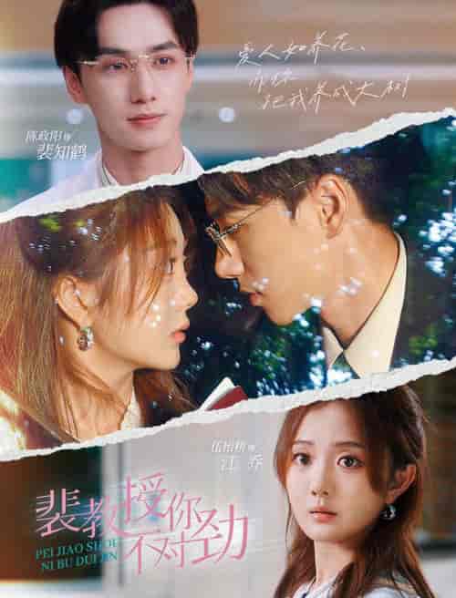 裴教授你不对劲（93集全）-紫橙资源网