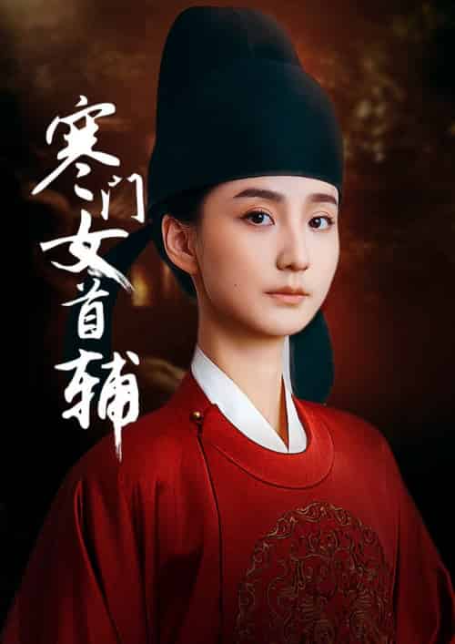 寒门女首辅(80集全)陈政阳&许晓诺-紫橙资源网