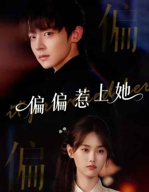偏偏惹上她（55集）张颖菲＆李泽宇＆任润博-紫橙资源网