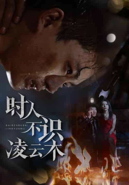 时人不识凌云木（51集全）魏如龙＆汤文馨-紫橙资源网