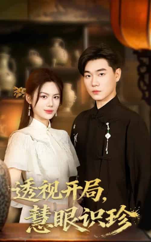 透视开局慧眼识珍（87集全）李承熹＆文昕-紫橙资源网