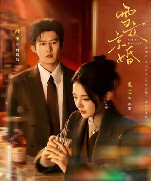 雪夜京婚（84集全）舒童＆觅七-紫橙资源网