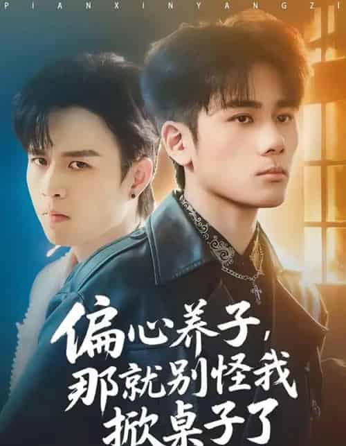 偏心养子,那就别怪我掀桌子了(80集全)张宇祥&周晓-紫橙资源网