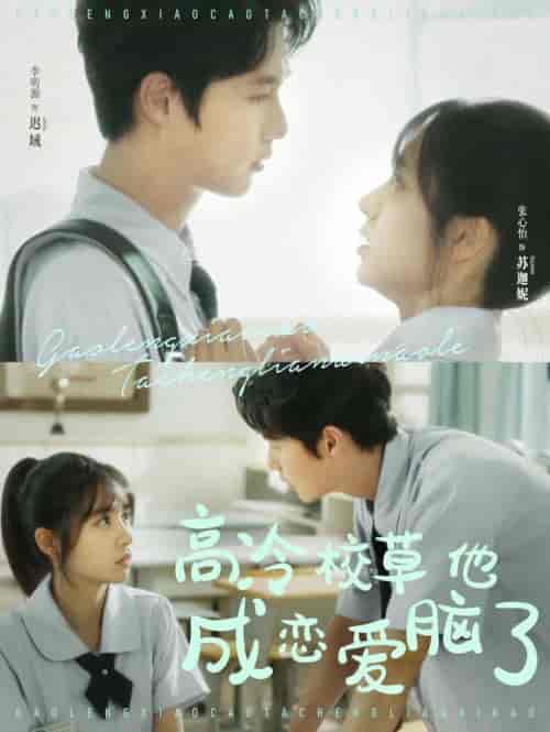 高冷校草他成恋爱脑了（80集全）李明源＆张心怡-紫橙资源网