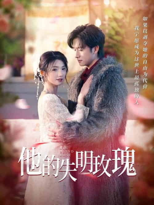 他的失明玫瑰（70集全）王彬茗＆陈明-紫橙资源网