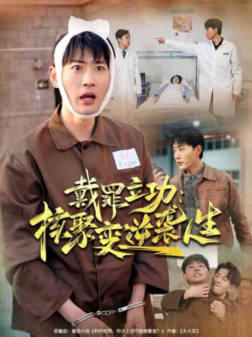 戴罪立功核聚变逆袭人生（100集全）姜悦＆宣以豪-紫橙资源网