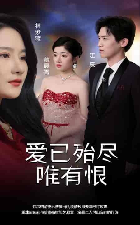 爱已殆尽唯有恨（61集全）-紫橙资源网