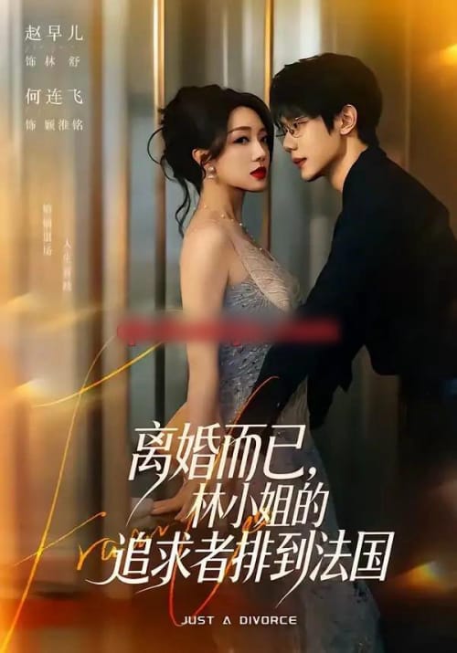 离婚而已,林小姐的追求者排到法国(79集全)何连飞&赵早儿-紫橙资源网