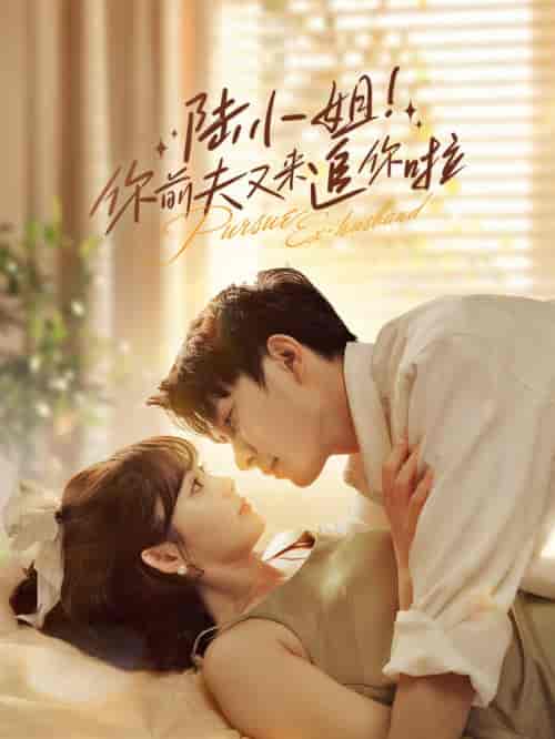 陆小姐！你前夫又来追你啦（67集全）-紫橙资源网