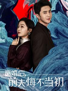 离婚后前夫悔不当初（40集全）-紫橙资源网