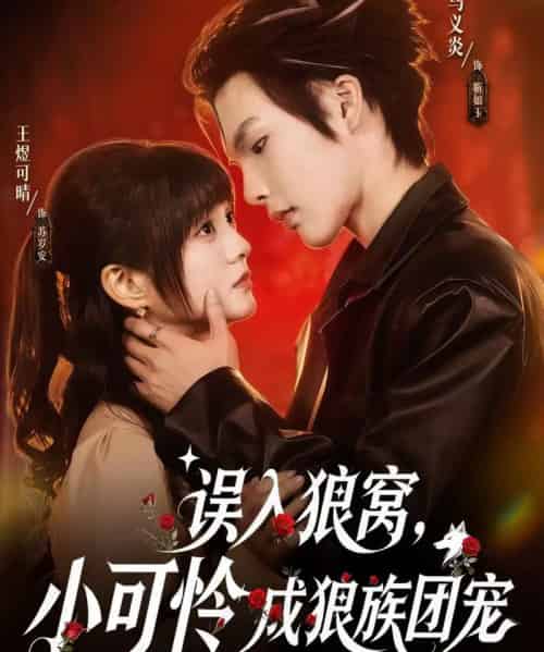 误入狼窝，小可怜成狼族团宠（66集全）马义炎＆王煜可晴-紫橙资源网