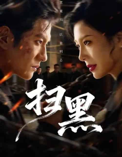 扫黑（70集全）黄涛＆章滢-紫橙资源网