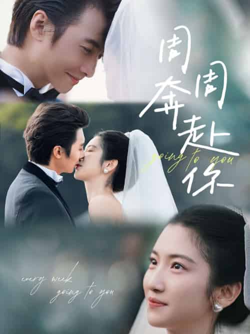 周周奔赴你(80集)淮文&付妤舒-紫橙资源网