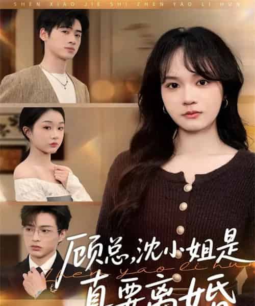 顾总，沈小姐是真要离婚（81集全）武帅康＆彭慧玲-紫橙资源网