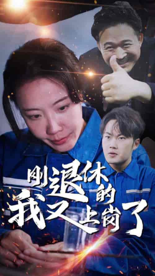 刚退休的我又上岗了(30集全)-紫橙资源网