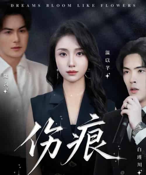 伤痕（60集）杨屿骁＆龙玥霖-紫橙资源网