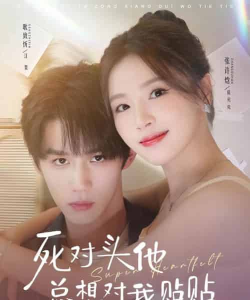 死对头他总想对我贴贴（77集全）耿致忻＆张许焓-紫橙资源网