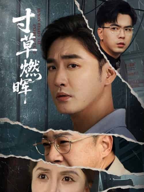 寸草燃晖（70集全）李季＆张敏倩-紫橙资源网