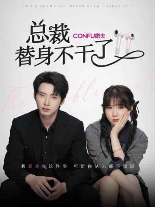 总裁替身不干了（6集全）丁公子＆彬彬-紫橙资源网