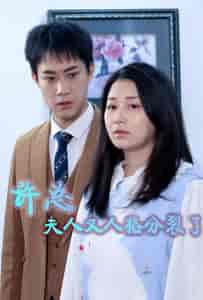 许总，夫人又人格分裂了（85集）-紫橙资源网