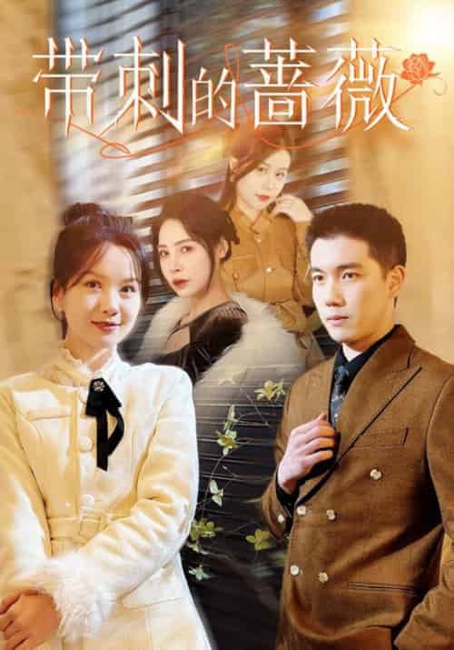 带刺的蔷薇 带刺的蔷薇