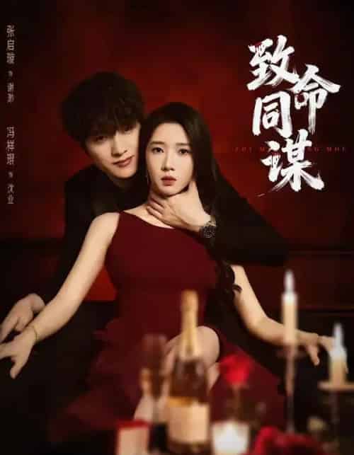 致命同谋（63集全）冯祥琨＆张启旋-紫橙资源网